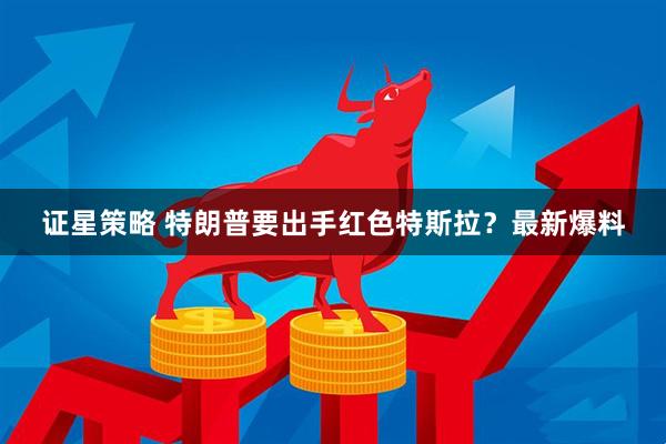 证星策略 特朗普要出手红色特斯拉？最新爆料