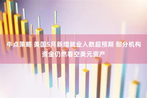 牛点策略 美国5月新增就业人数超预期 部分机构资金仍然看空美元资产