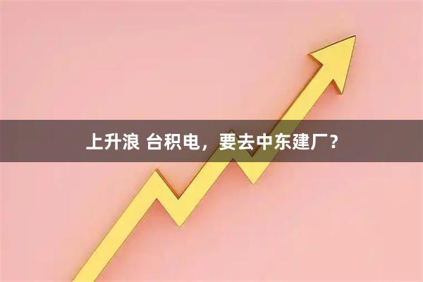 上升浪 台积电，要去中东建厂？